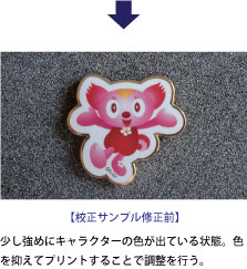 校正サンプル提出~完成