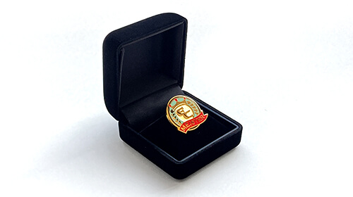 起毛ケース入りの認定ピンズ